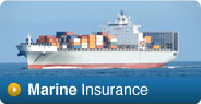 Health Insurance